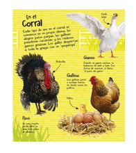 Cargar imagen en el visor de la galería, Sonido De La Granja